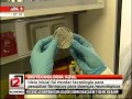 BIOALVO com ideias inovadoras BIOALVO com ideias inovadoras
