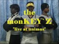 the monkeyz