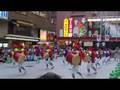 新宿エイサー祭り(コマ劇場前)