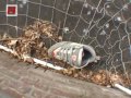 Favoriete Merijn Fragmenten