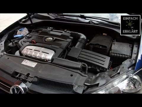 Anleitung: Marder vom Auto fernhalten vertreiben