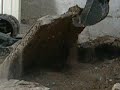 Bortci z Virtu - Bobcat 2