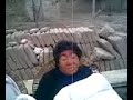 terremoto chincha  peru