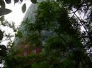 Mirando Hacia La Torre Agbar