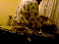 more jazz