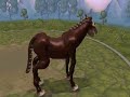 Horse (fixed)