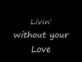 Living without your love (Hands-Up edit)