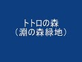 トトロの森
