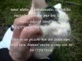 Vedi Video