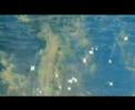 colorstar ozon barcs mikl�s