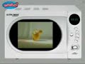 sweety the chick in microwave!! sweety the chick in microwave!!