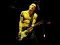 Red Hot Chili Peppers - Blood Sugar Sex Magik