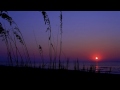 Video screenshot
