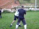 savate