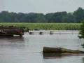 Neosho River Flood