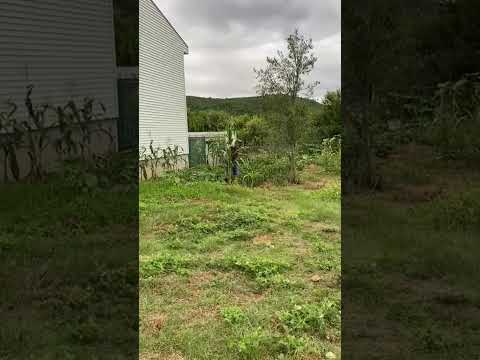 Çekmeköy Ömerli Ormankent imarlı 300 m2 satılık arsa