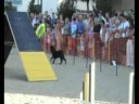Exhibici� fira de l\
