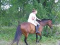 Double on Tee Two Bareback and Bridleless