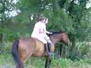 Double on Tee Two Bareback and Bridleless