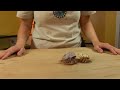Reptiles, Amphibians, Invertebrates & Small Pets : Hermit Crab Facts