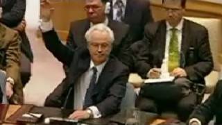 Rusko vetovalo nejnovější rezoluci Rady bezpečnosti OSN k Sýrii