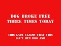 three women decided to take a walk. as they passed by my crazed neighbor's house--bear (the dog that she claims is sweet), broke a heavy chain and chased the ladies up the sidewalk.

sorry about the shaky video. the sunlight was in my eyes and it blocked the lcd screen.

the three women were terrified but not hurt by the dog thankfully.

dog had been in my yard after my cats, and keeps lingering around my property, unleashed, three times in one day.

after the dog chased the ladies...one of them got in her car and drove down to the house looking for the owner. the lady was smart enough to stay in the car after confronting mrs. psycho.

the end of the video is the crazy lady and her son who does not seem to attend any school (none of her kids do).

it's hard to hear her, but i can hear her say that people are blaming her and her dog for the nuisance and that there's a 