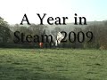A Year in Steam 2009