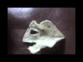Chip face.3gp Chip face.3gp