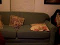 Sound is a bit off but my booty shaking isn't