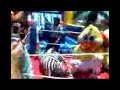 rinpa vs el pollo delos vaqueros rinpa vs el pollo delos vaqueros