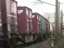 貨物列車  ８０５０レ　ＥＦ８１