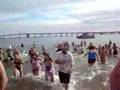 2008 Polar Bear Plunge