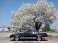 My 1983 Hurst/Olds & 2002 Monte Carlo SS My 1983 Hurst/Olds & 2002 Monte Carlo SS