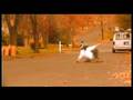 East Coast Freebord Final