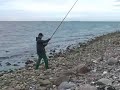 reersoe surfcasting Denmark