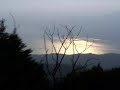BICI FLYER Monte Baldo