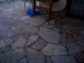 Funny Cat Crash
