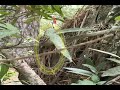 2008 Pro Disc Golf at De laveaga Part 1