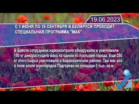 Новостная лента Телеканала Интекс 19.06.23.