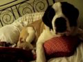 Princess and Quennie.AVI