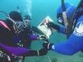 videos de PADI Search & Recovery Course with Perth Scuba