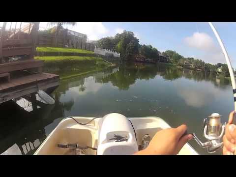 bass fishing from a paddle boat!