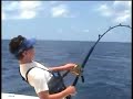 225 lbs Yellow Fin Tuna 225 lbs Yellow Fin Tuna