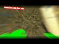 videos de Insane-Hax.net Pwnage