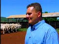 Record Rural - Cruzamento entre ra�as zebu�nas pode ser competitivo no mercado mundial  parte 1