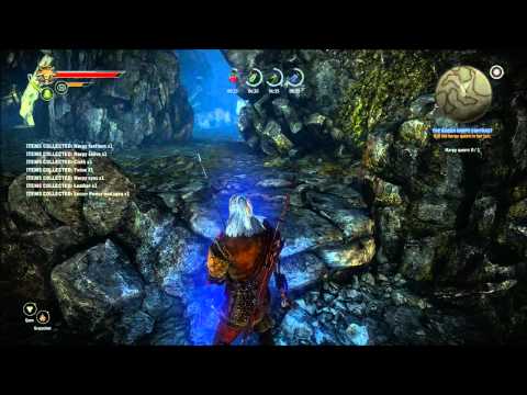 The Witcher 2 : Assassins of Kings