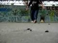 Crip walk - Silistra