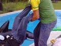 Buchy�s Pool