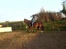Angelika riding Robbie 2 Angelika riding Robbie 2