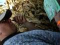 Roba's Corn Maze Part 5 of 8